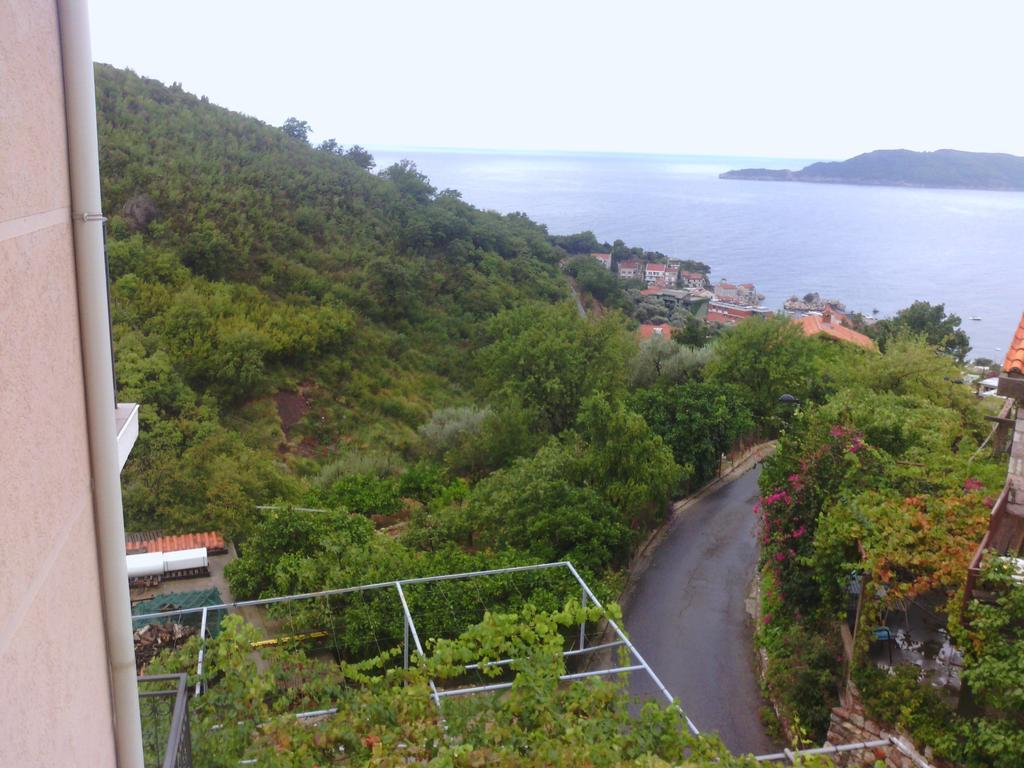Apartments Mitrovic Podlicak Sveti Stefan Bilik gambar