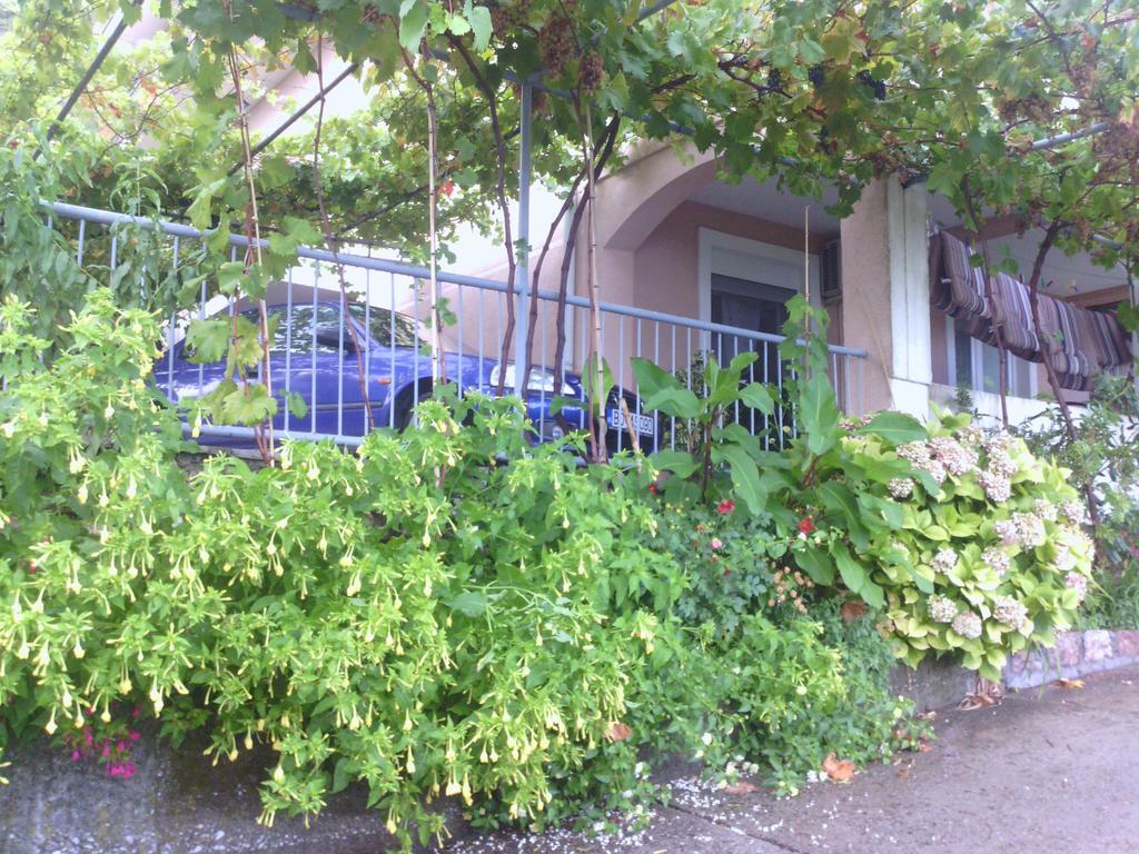 Apartments Mitrovic Podlicak Sveti Stefan Luaran gambar